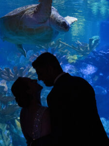Wedding at the New England Aquarium