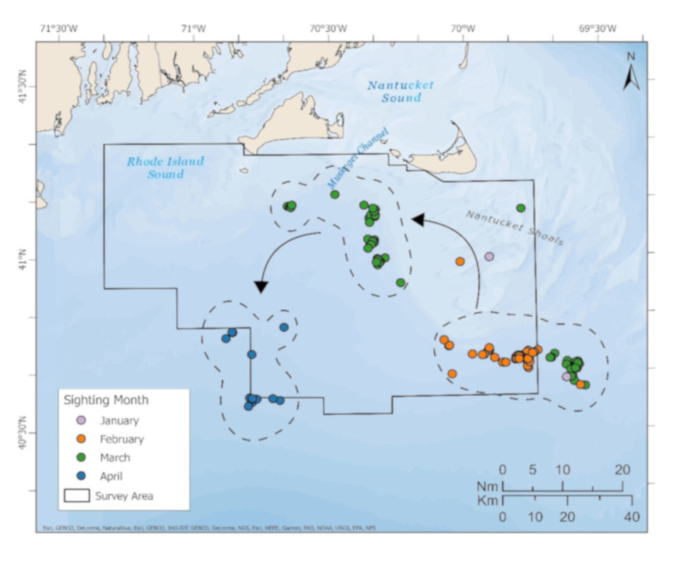 Map showing right whale sightings from January to April.