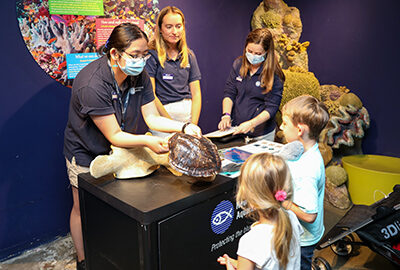 Work or Volunteer at the Aquarium