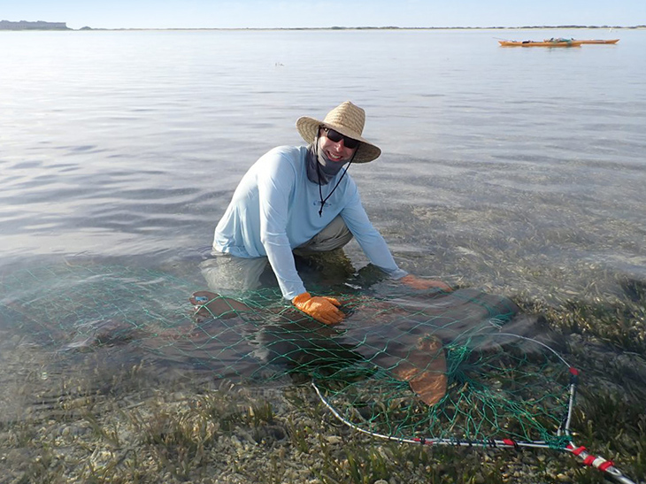 Scientist Nick Whitney is part of a thirty-year shark study.