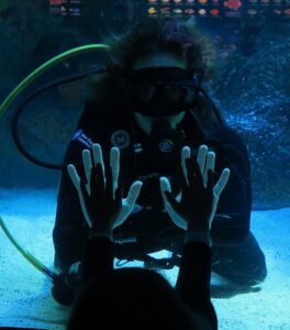 Woman scuba diving in aquarium tank