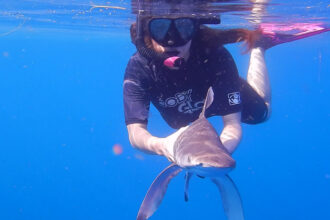 Snorkeler holding a small shark under water