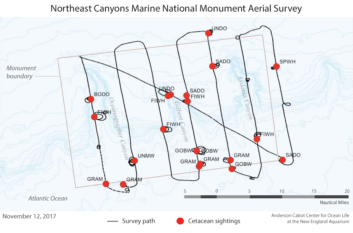 Map of Northeast Canyons Marine National Monument Survey