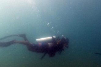 Scuba diver swimming underwater