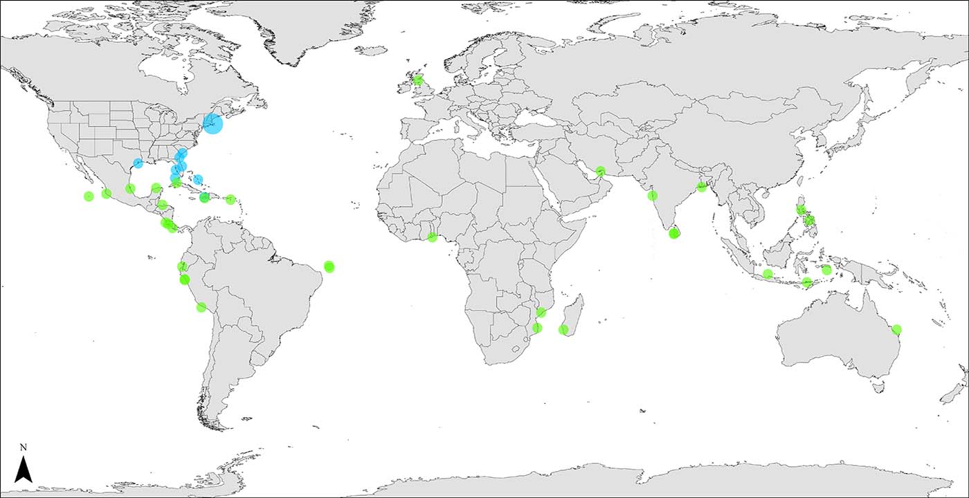 A map showcasing Aquarium-affiliated shark research and conservation around the globe.