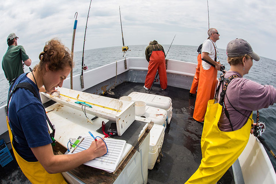 several people fishing off the back of a boat