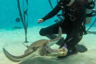 Meet Some of the Aquarium's Long-Lived Animals