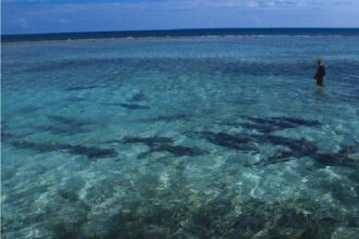 Man standing in shallow, clear tropical water