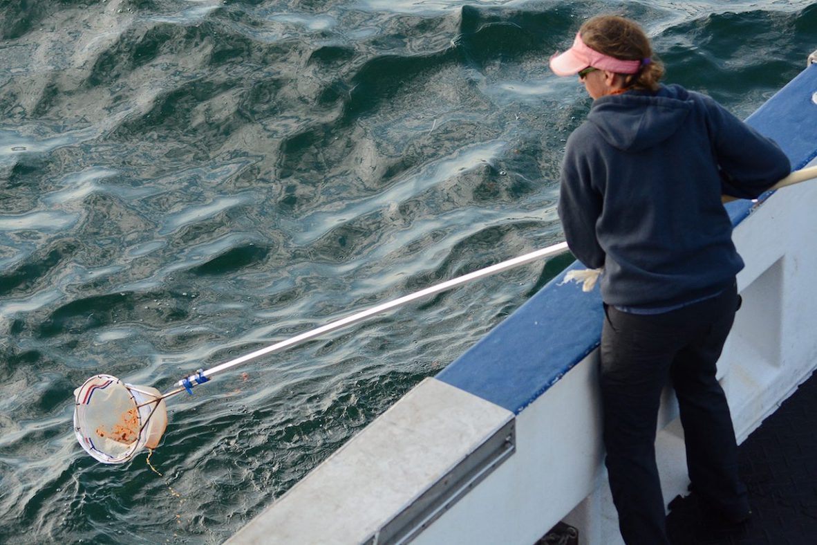 woman reaching over the side of a boat into the water with a net on a long pole