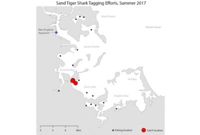 map of Boston Harbor