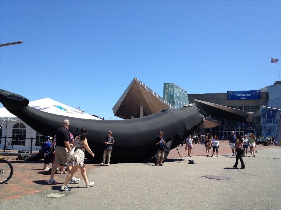 exterior entrance to the aquarium