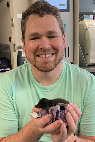 Eric Fox with the newly hatched rockhopper penguin.
