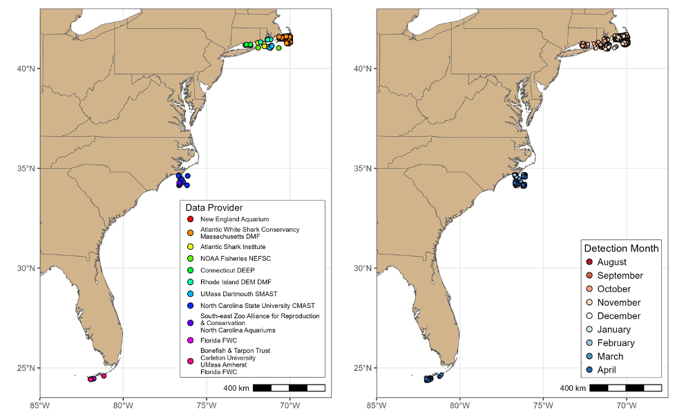 False albacore detections grouped by institutions participating in data sharing networks (left) and by month of detection from August 2022 to April 2023 (right). Points in the month of detection map are slightly jittered to better illustrate the distribution of months across multiple detections at the same receiver stations.