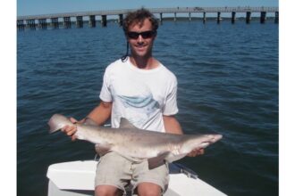 Man on a boat holding a sand tiger shark