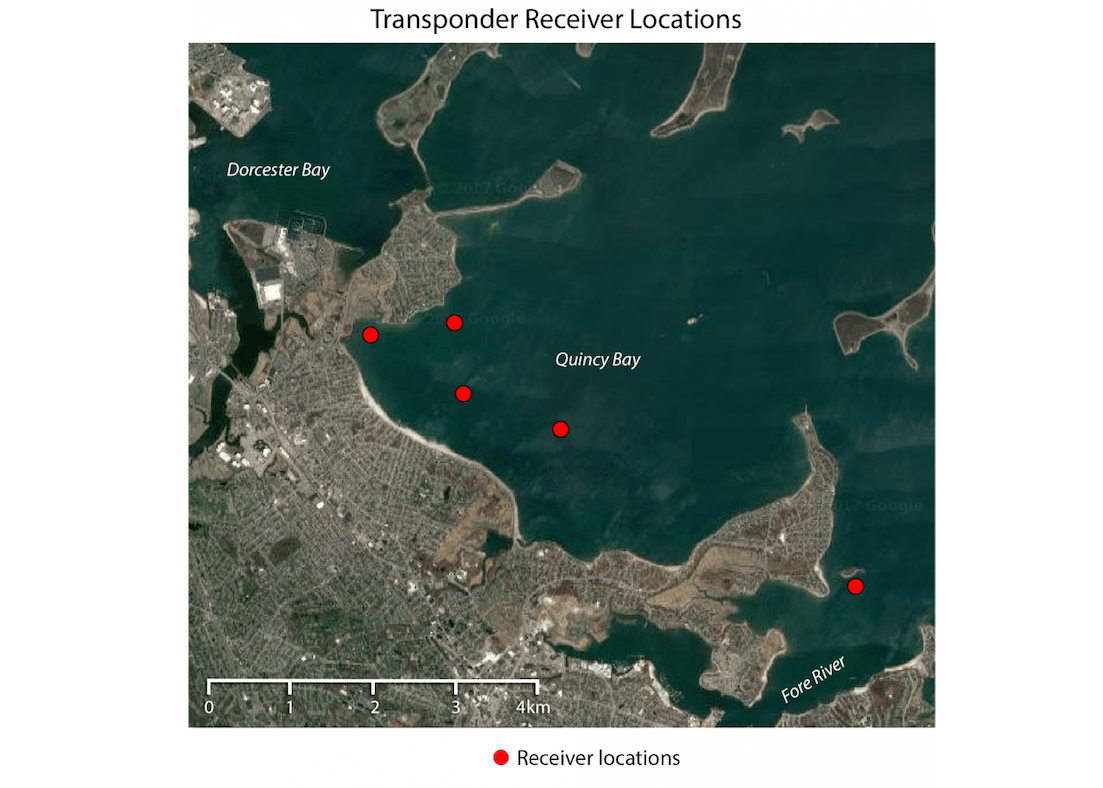 Map of Quincy Bay