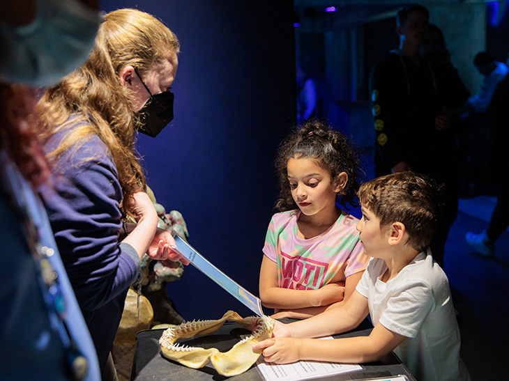 Young visitors learn about marine protected areas