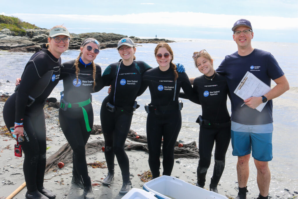 A group of people in wetsuits smiling on a rocky shoreline