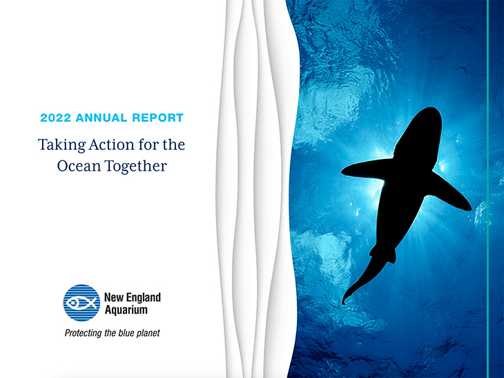 2022 Annual Report Cover