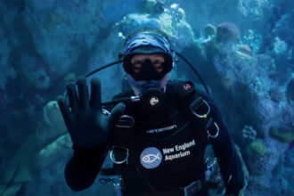 New England Aquarium diver looking at camera with hand up