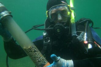 A scuba diver holding a tube of collected sediment to measure sequestered carbon