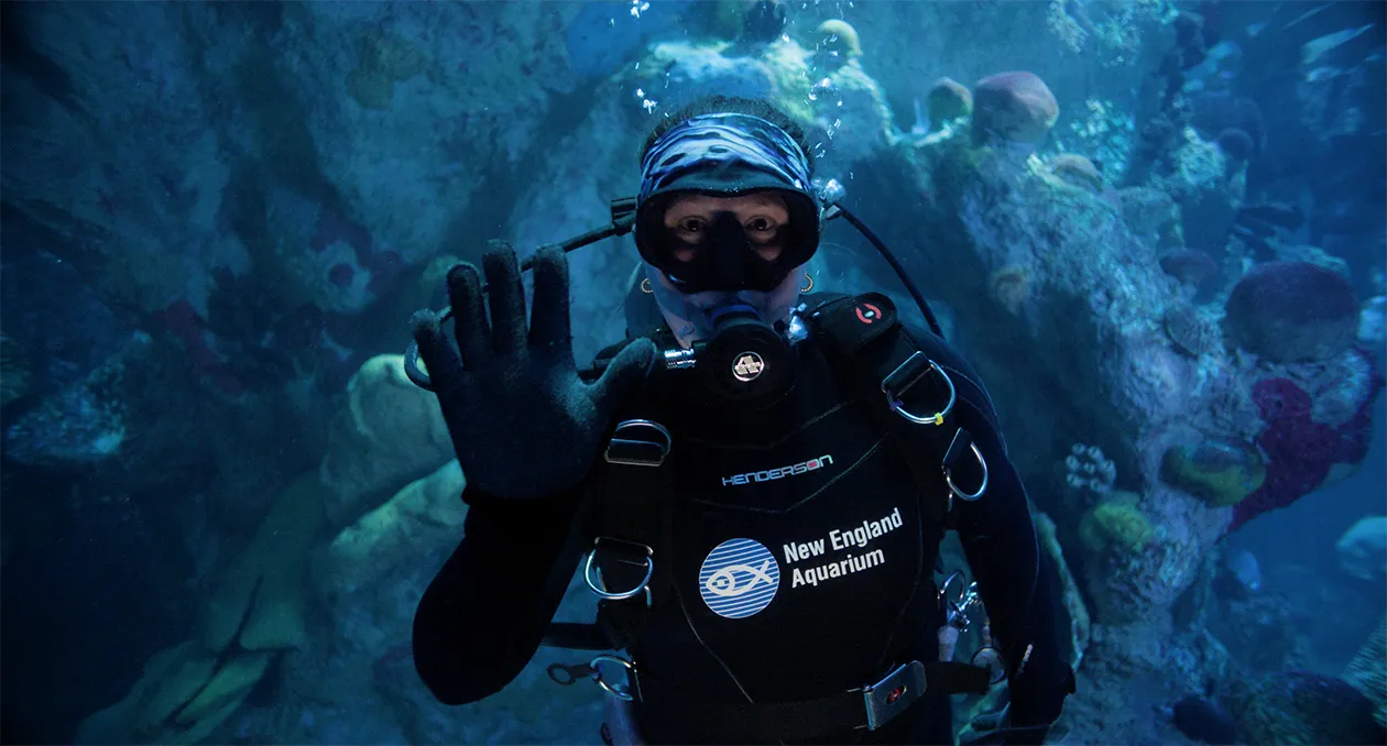 New England Aquarium diver looking at camera with hand up