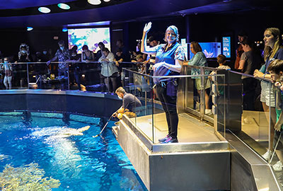 An educator waves and gives a talk at the top of the Giant Ocean Tank exhibit