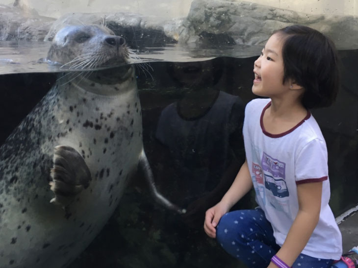 Plan Your Visit - New England Aquarium