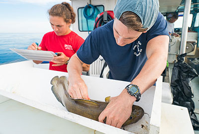 Two researchers tag and record information about a fish