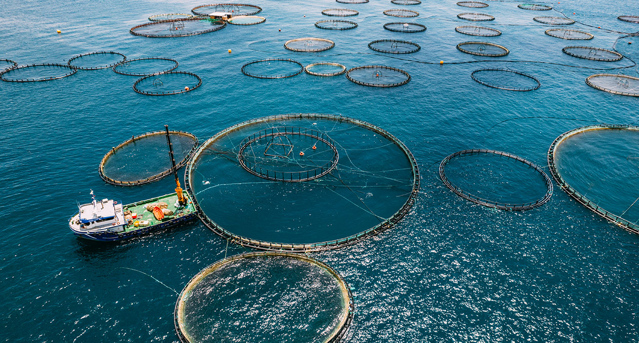 a boat with aquaculture nets in the ocean