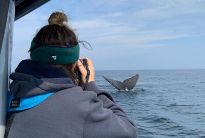 Monitoring a Species