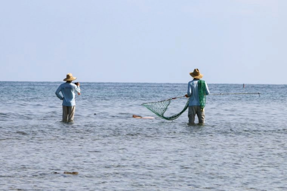 Connor White (left) and Nick Whitney watch a swimming nurse shark.