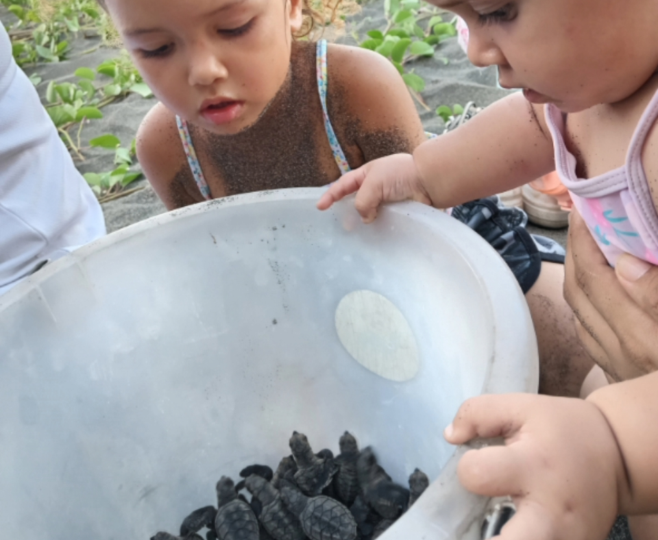 Samantha Rodríguez y Camila Rodríguez, observando tortuguitas rescatadas durante una exhumación y listas para ser liberadas en playa Gandoca