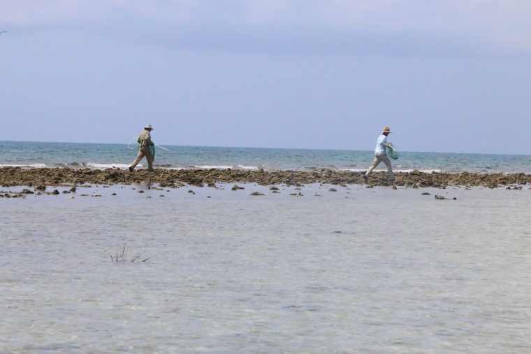 Running with nets