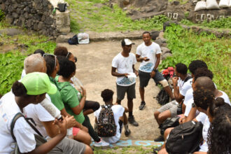 Terrimar Helps Loggerhead Sea Turtle Population in Cape Verde