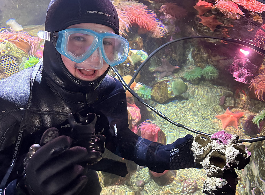 Jordan diving in our Northern Waters Gallery