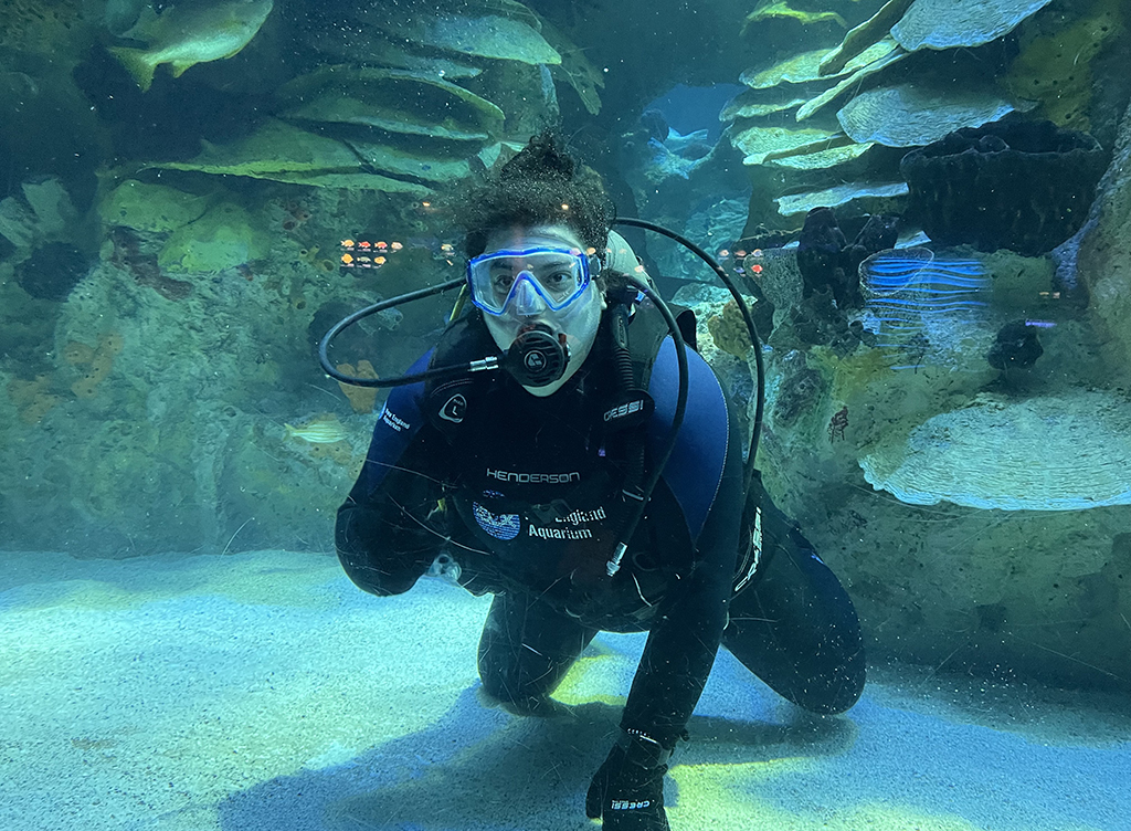 Nicole diving in the Giant Ocean Tank