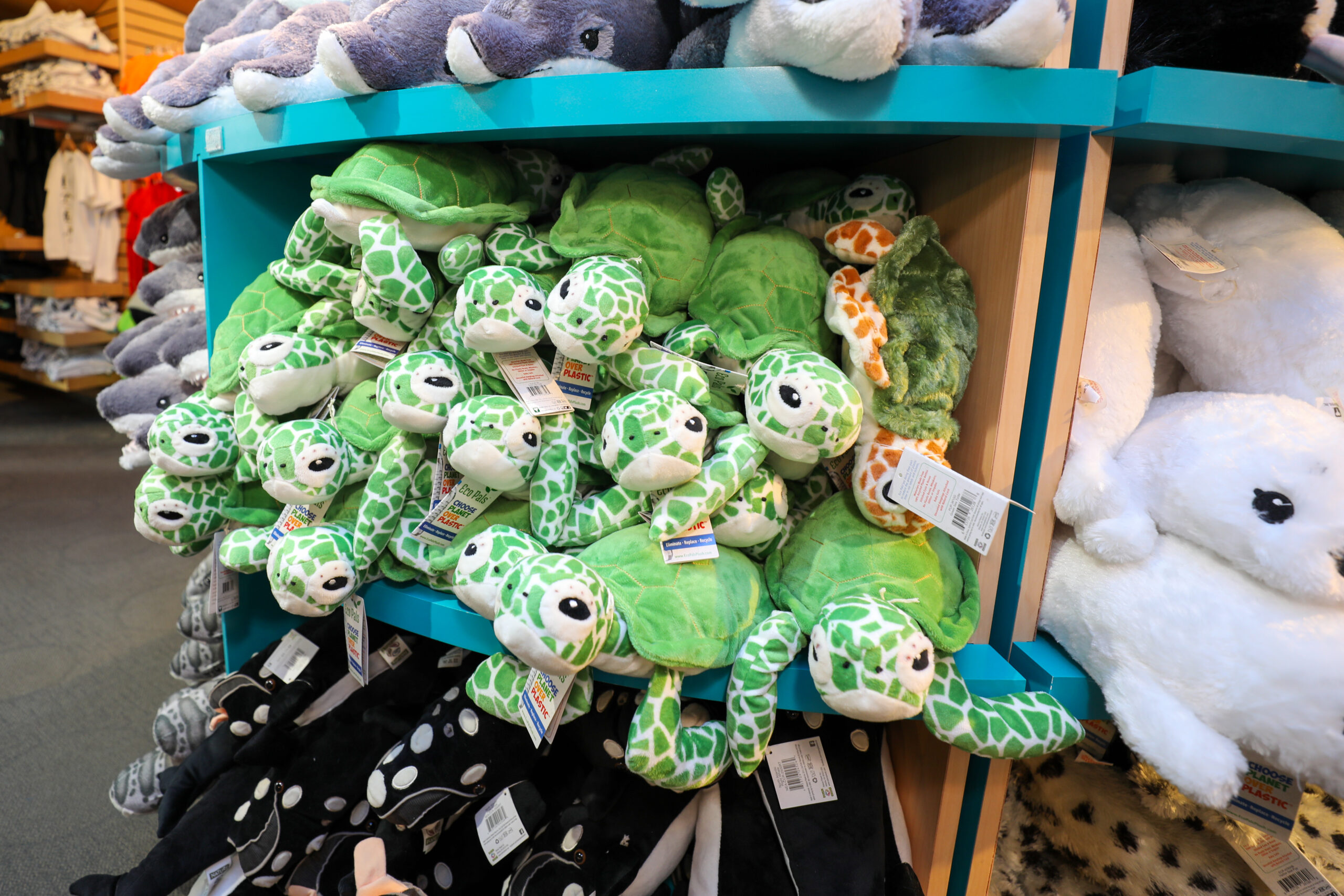 Aquarium gift shop plush