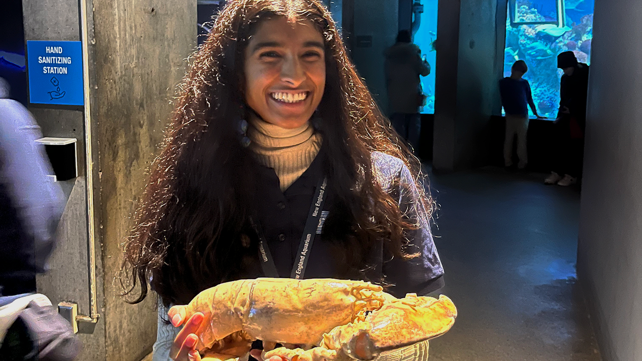 Aleezah holding a lobster shell—an interactive learning tool for Aquarium guests
