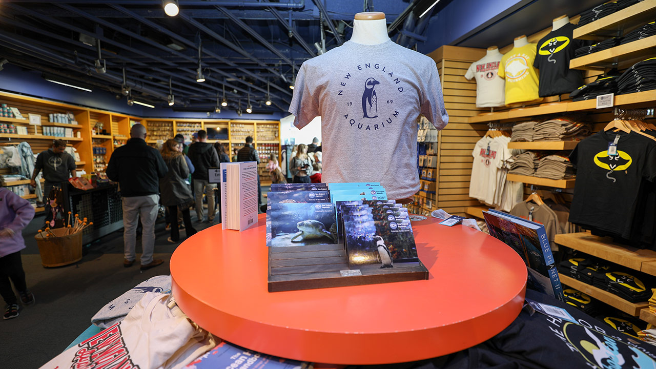 A tee shirt display at the New England Aquarium Gift Shop