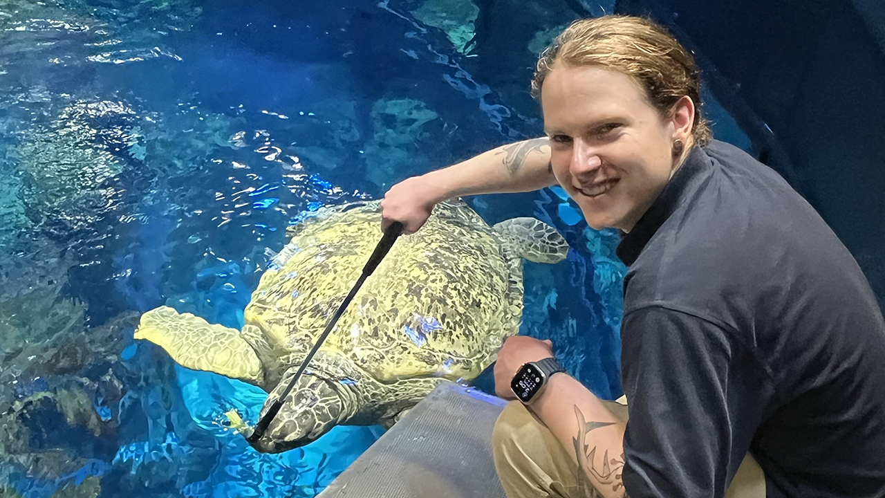 Dylan with Myrtle the green sea turtle
