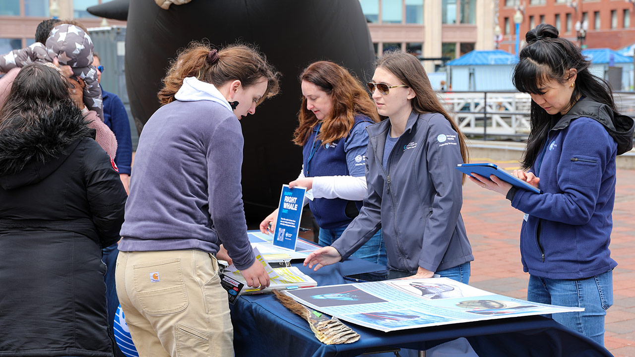 Anderson Cabot Center for Ocean Life researchers talk to visitors about right whales