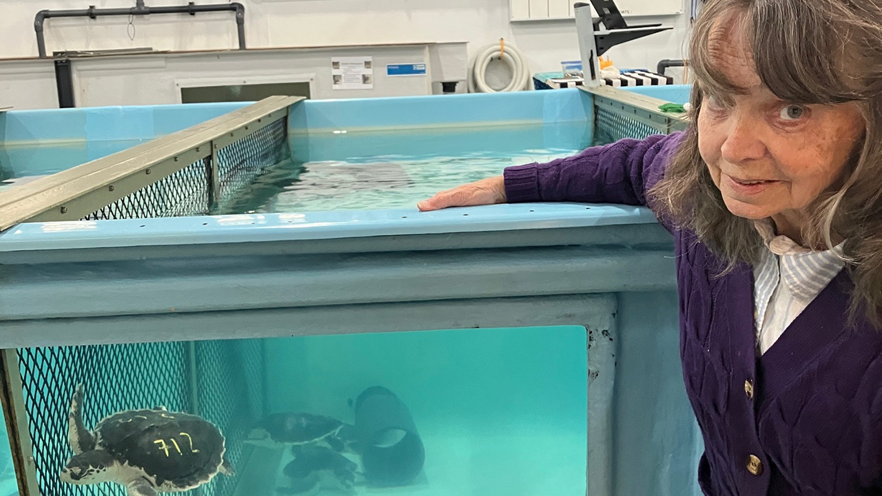 Kathy at the Sea Turtle Hospital in Quincy