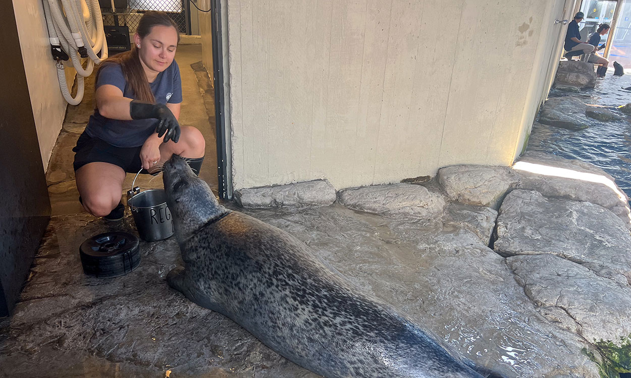Members of the New England Aquarium Animal Care Team