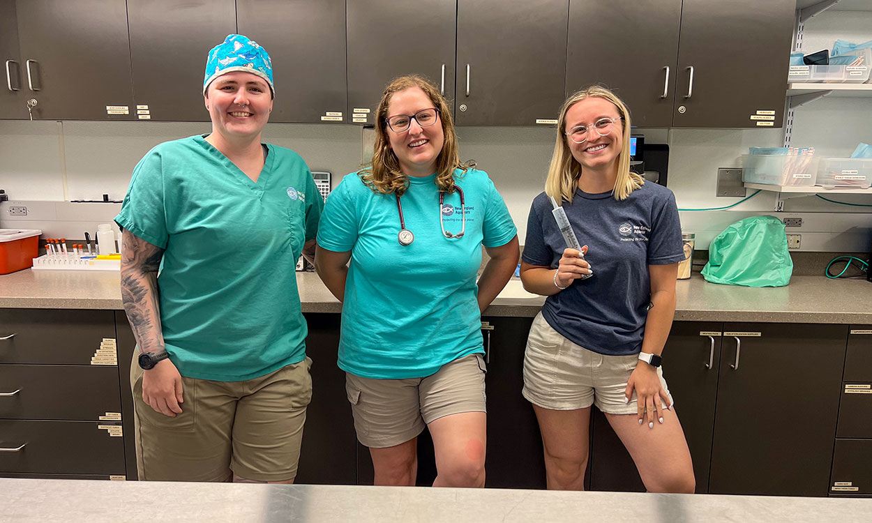 Members of the New England Aquarium Animal Care Team