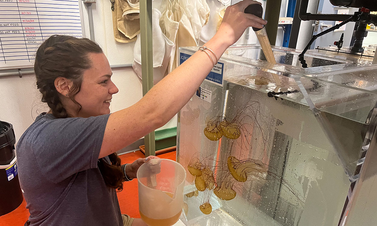 Members of the New England Aquarium Animal Care Team
