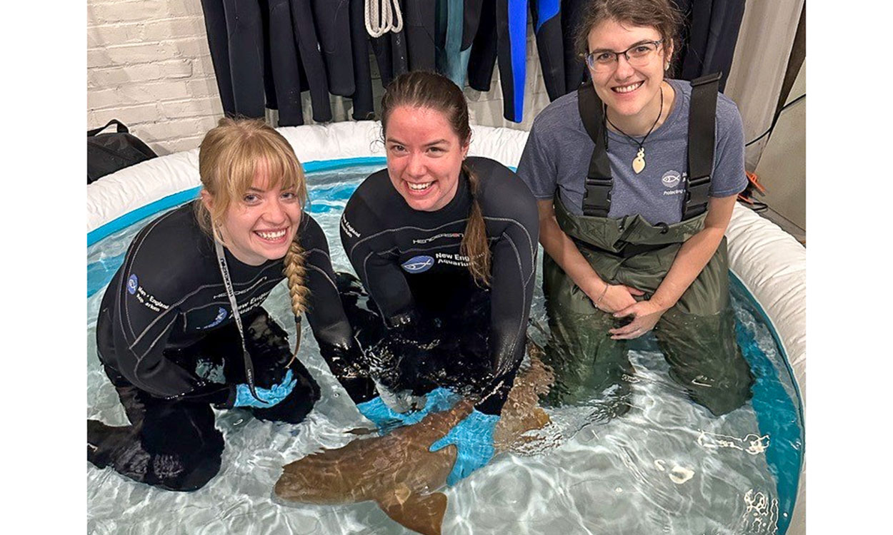 Members of the New England Aquarium Animal Care Team
