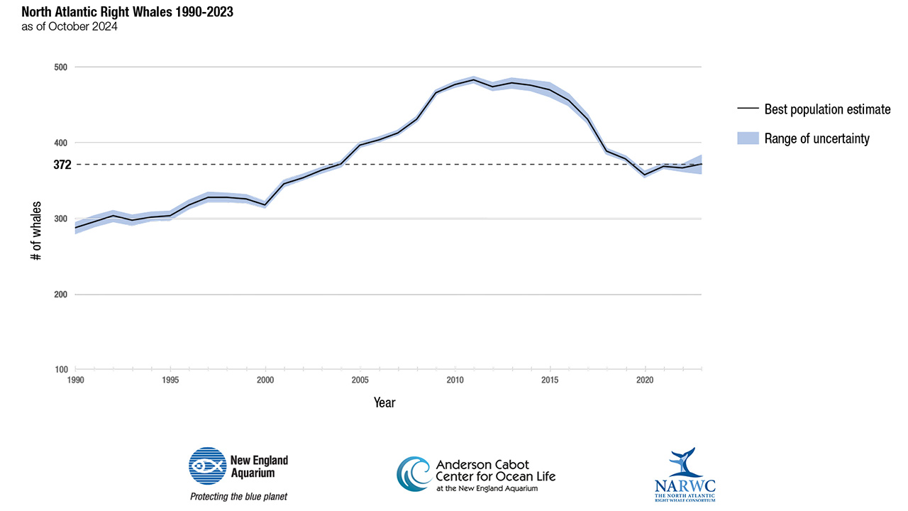 Right Whale Population Estimate 1990-2023