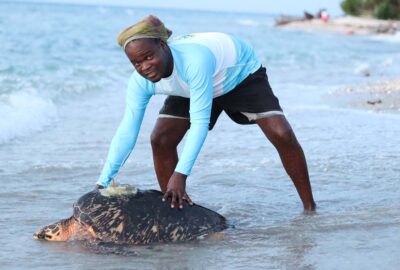MCAF fellow Francklin Barbier with the first documented satellite-tagged turtle in Haiti history, a female hawksbill
