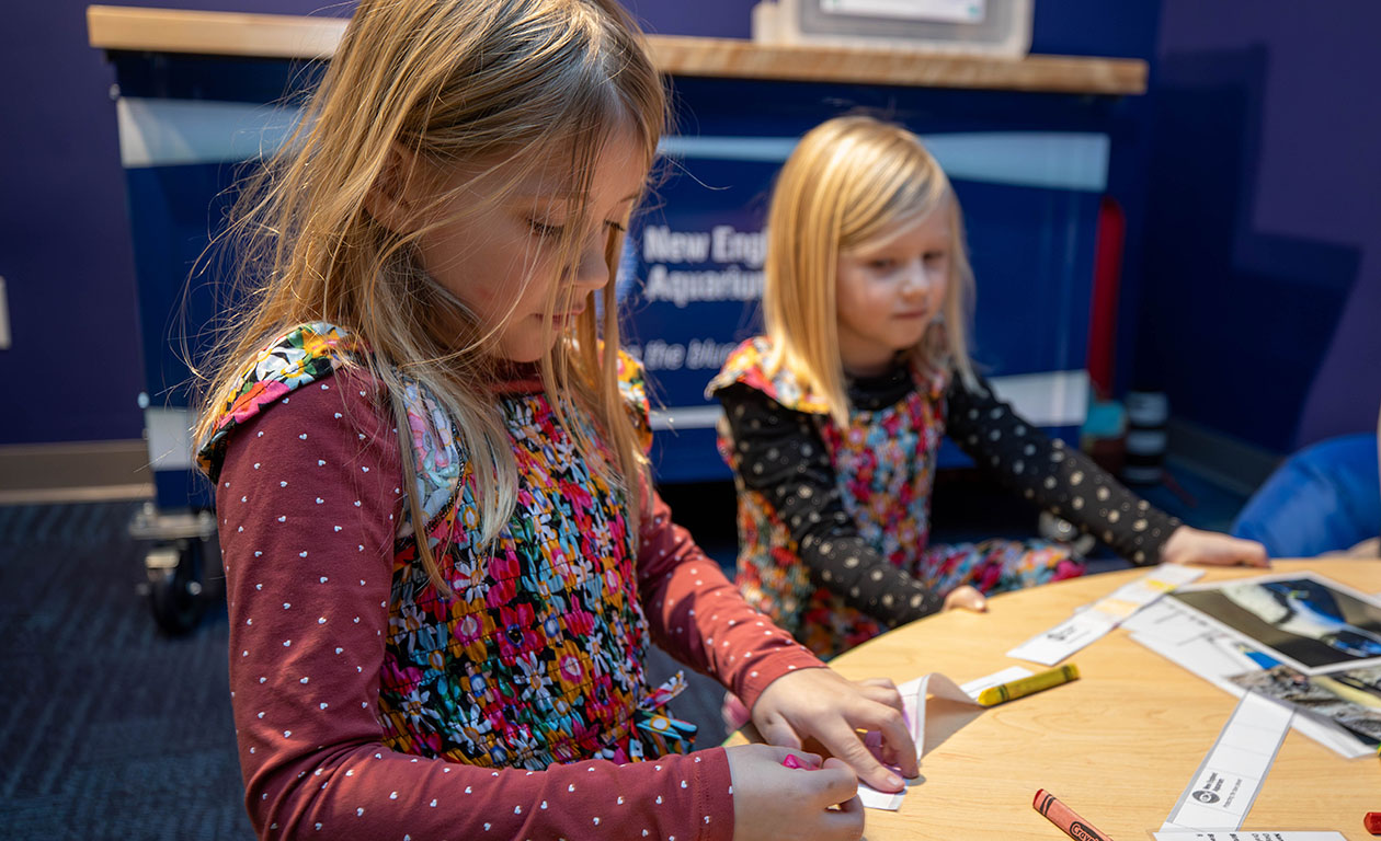 Two young girls coloring at a table, surrounded by crayons and papers, in a bright educational setting. One girl is focused on drawing with a pink marker.