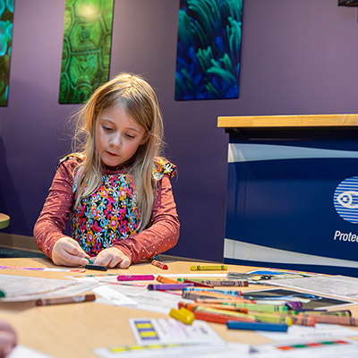 A young visitor participates in an activity